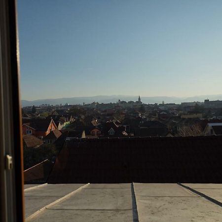 Pensiunea Flamingo Sibiu Exterior foto